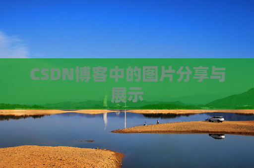 CSDN博客中的图片分享与展示